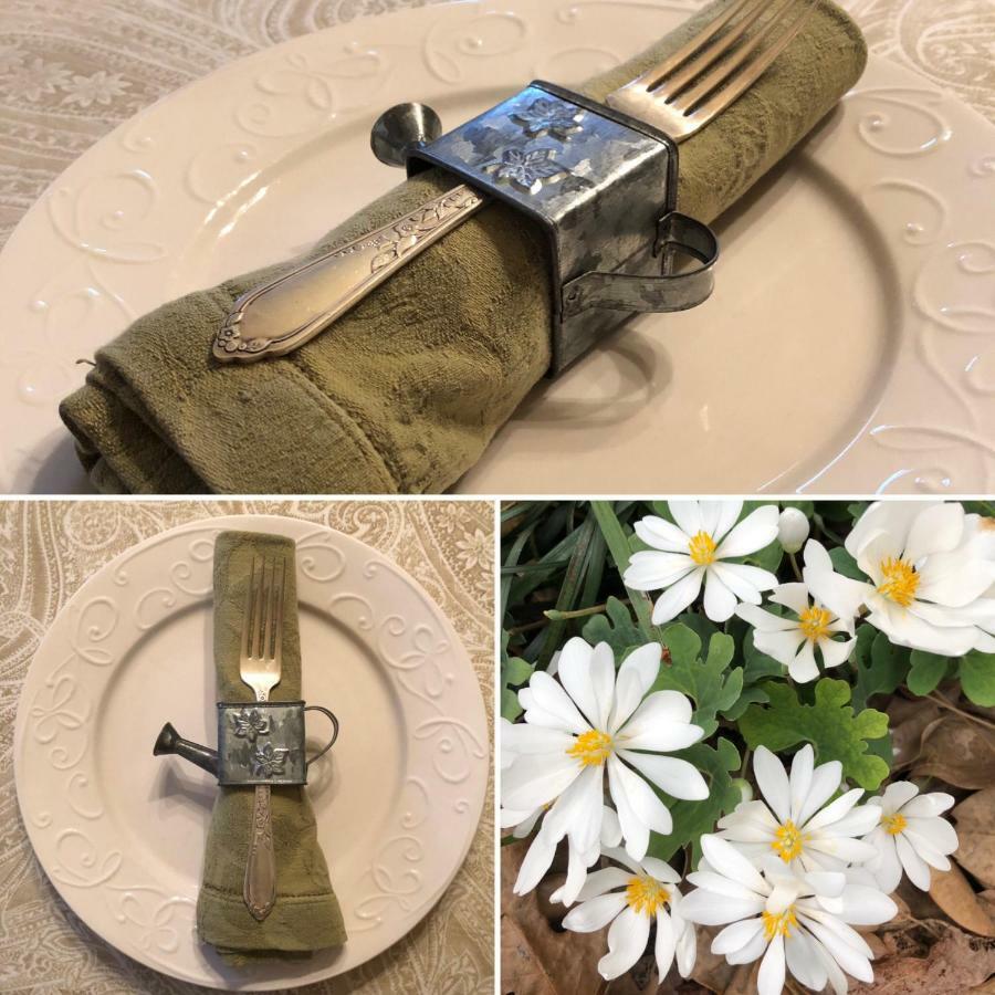 Magnolia House & Gardens B&B クローヴァー エクステリア 写真